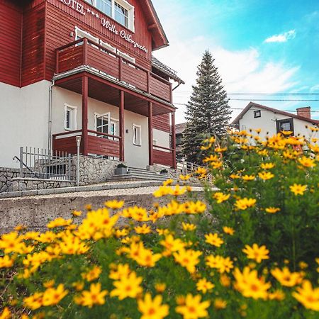 Hotel Willa Odkrywcow Sklářská Poruba Exteriér fotografie