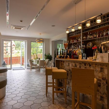Hotel Willa Odkrywcow Sklářská Poruba Exteriér fotografie